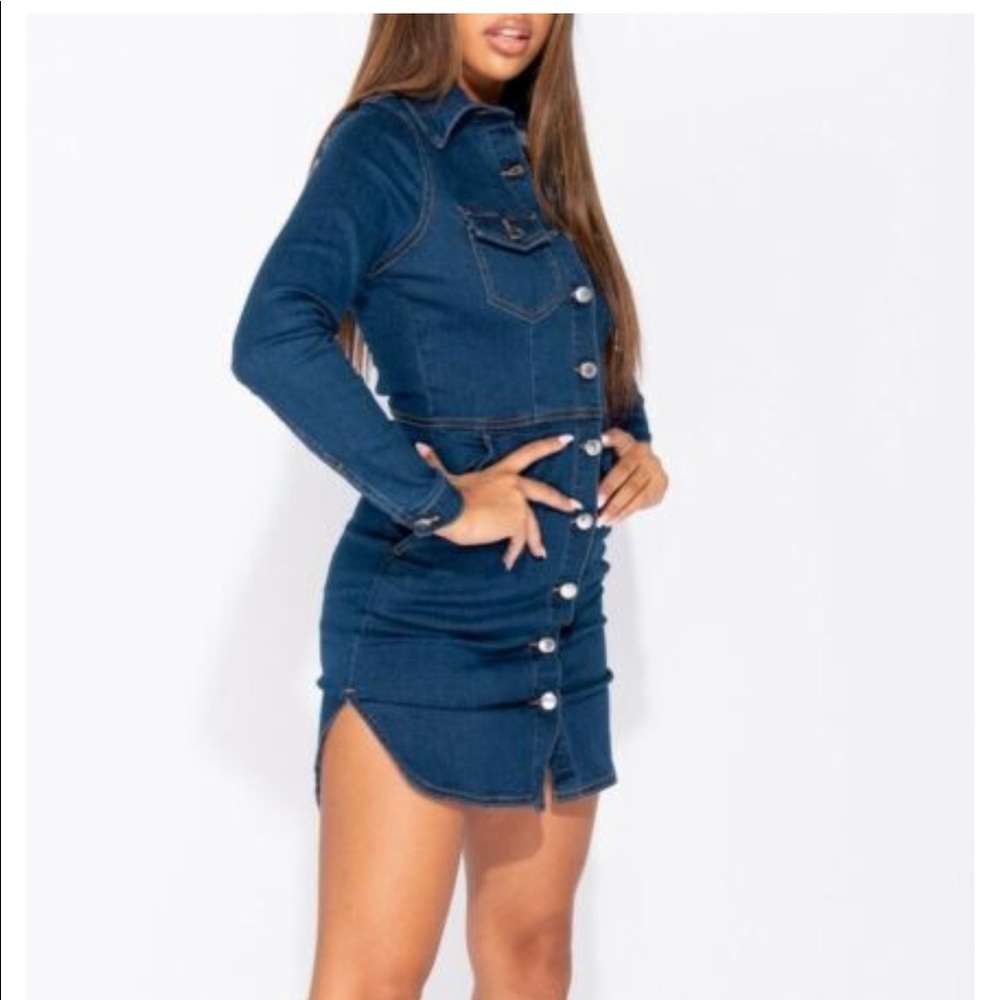 Fitted Jean Dress
